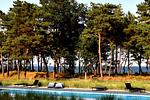 Pool - Ferienwohnung Ostseeloft 5 im Haus Prora Düne 7 - Top-Hundeurlaub