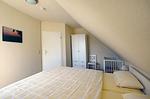 Ankerplatz RH 7 - Top-Hundeurlaub