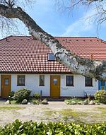 Ferienhaus Georg - Top-Hundeurlaub