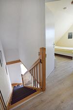 Ankerplatz RH 5 - Top-Hundeurlaub