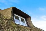 Haus Sonnenland - Top-Hundeurlaub