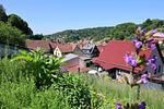 Blick über Steinach und ins Tal hinunter - Haus im Grünen - Top-Hundeurlaub