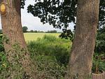 Storchennest (Haushälfte) - Top-Hundeurlaub