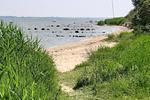 Wellenreiter - Top-Hundeurlaub