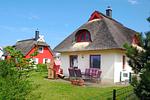 Seemöwe - Top-Hundeurlaub