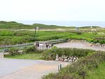 Vogelperspektive - Fernsicht 12E, DG - Top-Hundeurlaub