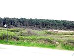 Landschaft - Fernsicht 12E, DG - Top-Hundeurlaub
