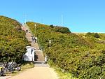 Strand - Bundiswung 9, Whg. 4 - Top-Hundeurlaub
