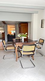 1100 - Anno 1840 - Top-Hundeurlaub