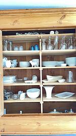 1100 - Anno 1840 - Top-Hundeurlaub