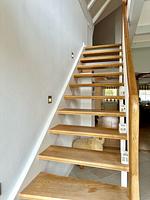 1100 - Anno 1840 - Top-Hundeurlaub