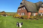 Reethus Achtern Diek - Top-Hundeurlaub