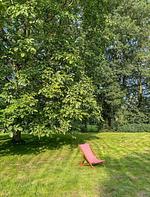 Villa Morgenthau - Top-Hundeurlaub