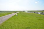 Deichgraf (Haushälfte) - Top-Hundeurlaub