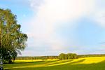 Landschaft - FeWo 07 Relaxen in Lauterbach - Top-Hundeurlaub