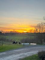 Sonnenuntergang über der Landschaft bei Perstorp in Skåne - Liten Päronträdgård - Top-Hundeurlaub