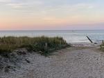 Strand - Zur Wellenwiese 22a Wohnung Vogelsang - Top-Hundeurlaub