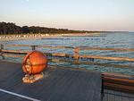 Strand - Zur Wellenwiese 22a Wohnung Vogelsang - Top-Hundeurlaub