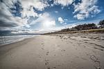 Strand - Haus Dünenwald - Top-Hundeurlaub