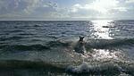 Bella Casa 29 - Top-Hundeurlaub