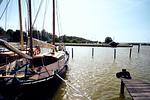 Am Redensee - Top-Hundeurlaub