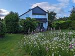 Pfötchenparadies I - Top-Hundeurlaub