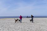 Pfötchenparadies I - Top-Hundeurlaub
