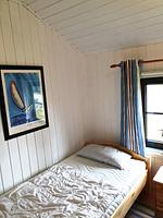 Seestern - Top-Hundeurlaub