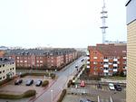 Nachbarschaft - Stephanstr. 8, Whg. 3 - Top-Hundeurlaub