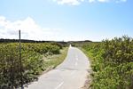 Landschaft - Fernsicht 12B, EG - Top-Hundeurlaub