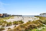 Landschaft - Ferienhaus Beachvilla Olpenitz - Top-Hundeurlaub