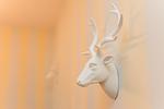 Dekoratives Detail - Haus Oland Wohnung 21 - Top-Hundeurlaub