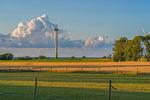 Garten - Bauernhof Lafrenz - Ferienhaus Nelke - Top-Hundeurlaub