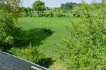 B86C - Haus Enna - Top-Hundeurlaub