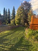 Casa Foresta - Top-Hundeurlaub