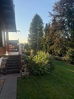 Casa Foresta - Top-Hundeurlaub