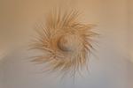 Dekoratives Detail - Seelenwind - Top-Hundeurlaub