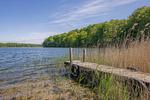 Landschaft - Ferienwohnung Strandblick 1 - Top-Hundeurlaub