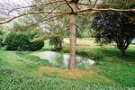 Gartenblick - Kleine Auszeit - Top-Hundeurlaub