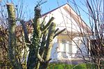 Ferienhaus Gudrun - Top-Hundeurlaub