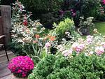 Garten - Ferienwohnung Malvenhaus - Top-Hundeurlaub