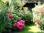 Garten - Ferienwohnung Malvenhaus - Top-Hundeurlaub