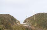 Meerblick - Ferienwohnung Odin Sylt - Top-Hundeurlaub