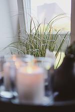 Wohnzimmer - Ferienwohnung Witthüs / Strandläufer Sylt - Top-Hundeurlaub