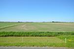 Diekhuus (Haushälfte) - Top-Hundeurlaub
