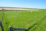 Diekhuus (Haushälfte) - Top-Hundeurlaub