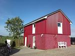 Nordlicht - Top-Hundeurlaub