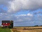 Nordlicht - Top-Hundeurlaub