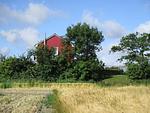 Nordlicht - Top-Hundeurlaub