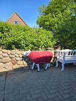Nordlicht - Top-Hundeurlaub